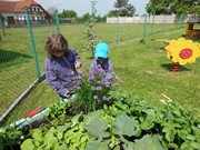 Zahradničíme ve školce